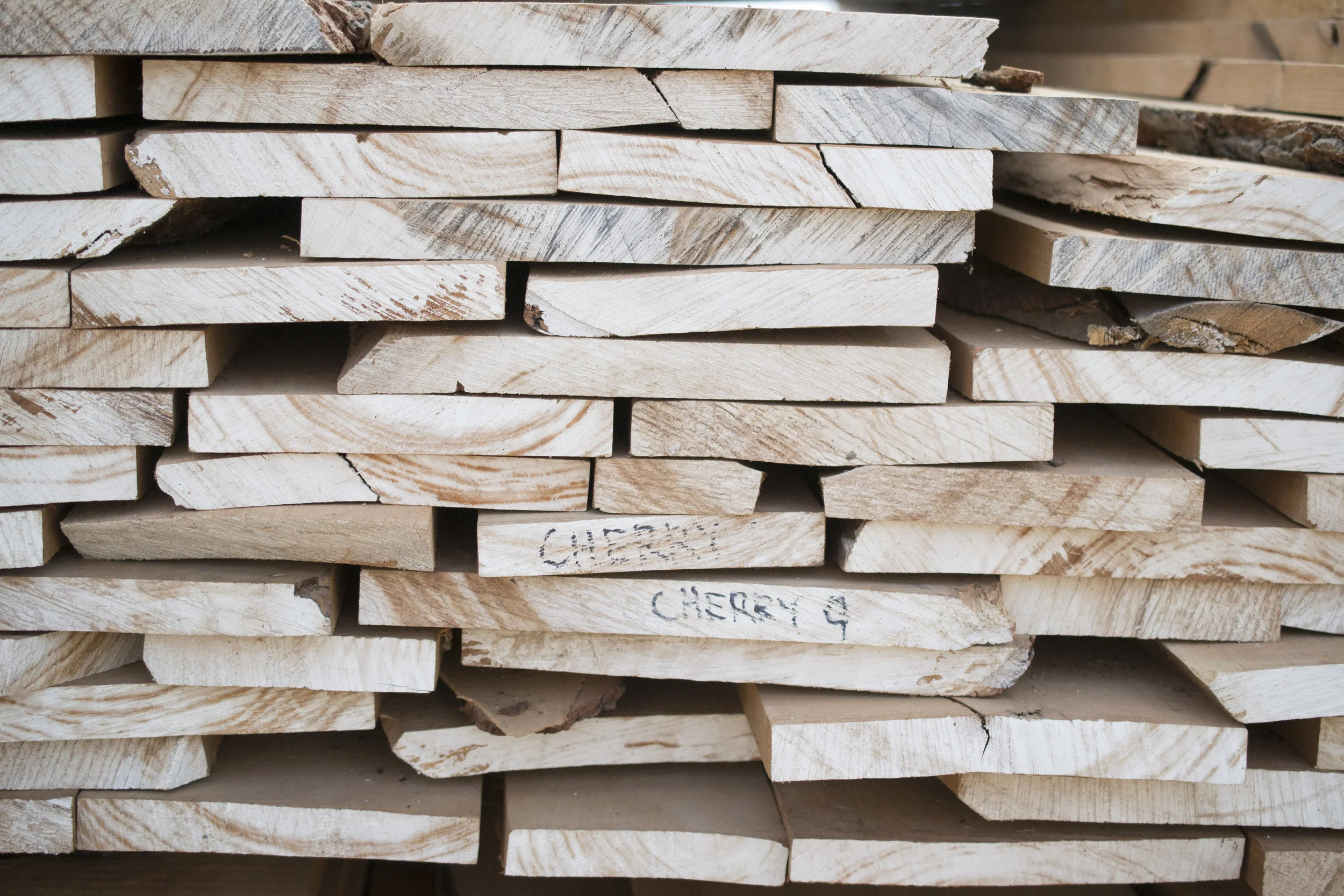 Urban Lumber — The Wood Cycle of Wisconsin
