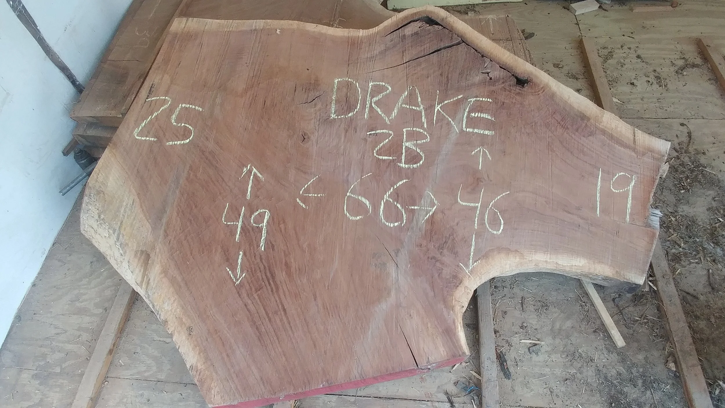 Drake2B.jpg