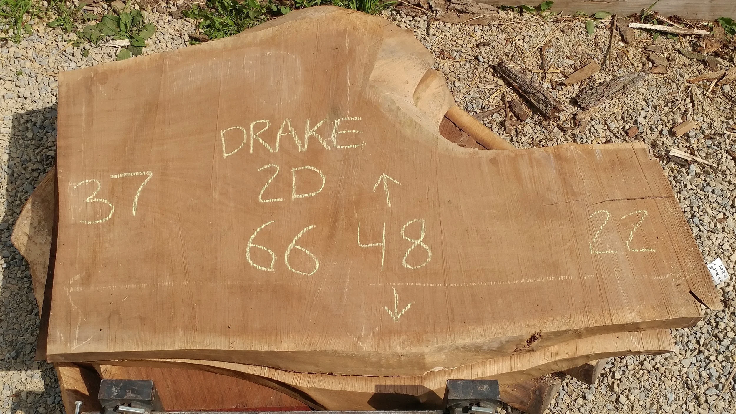 Drake2D.jpg