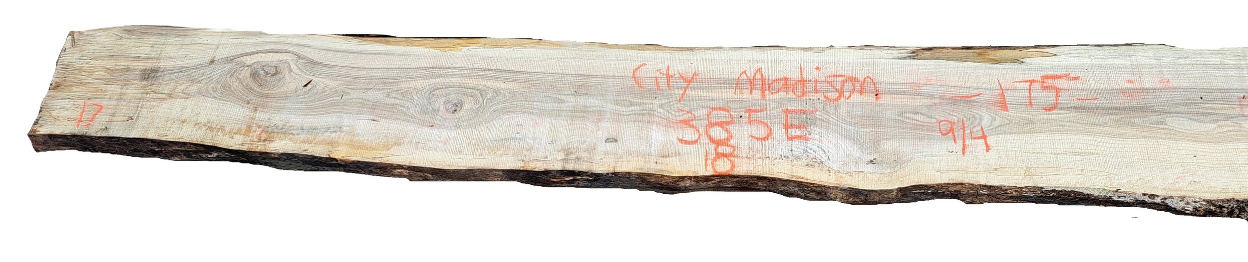 Hackberry Slab City Madison 385E