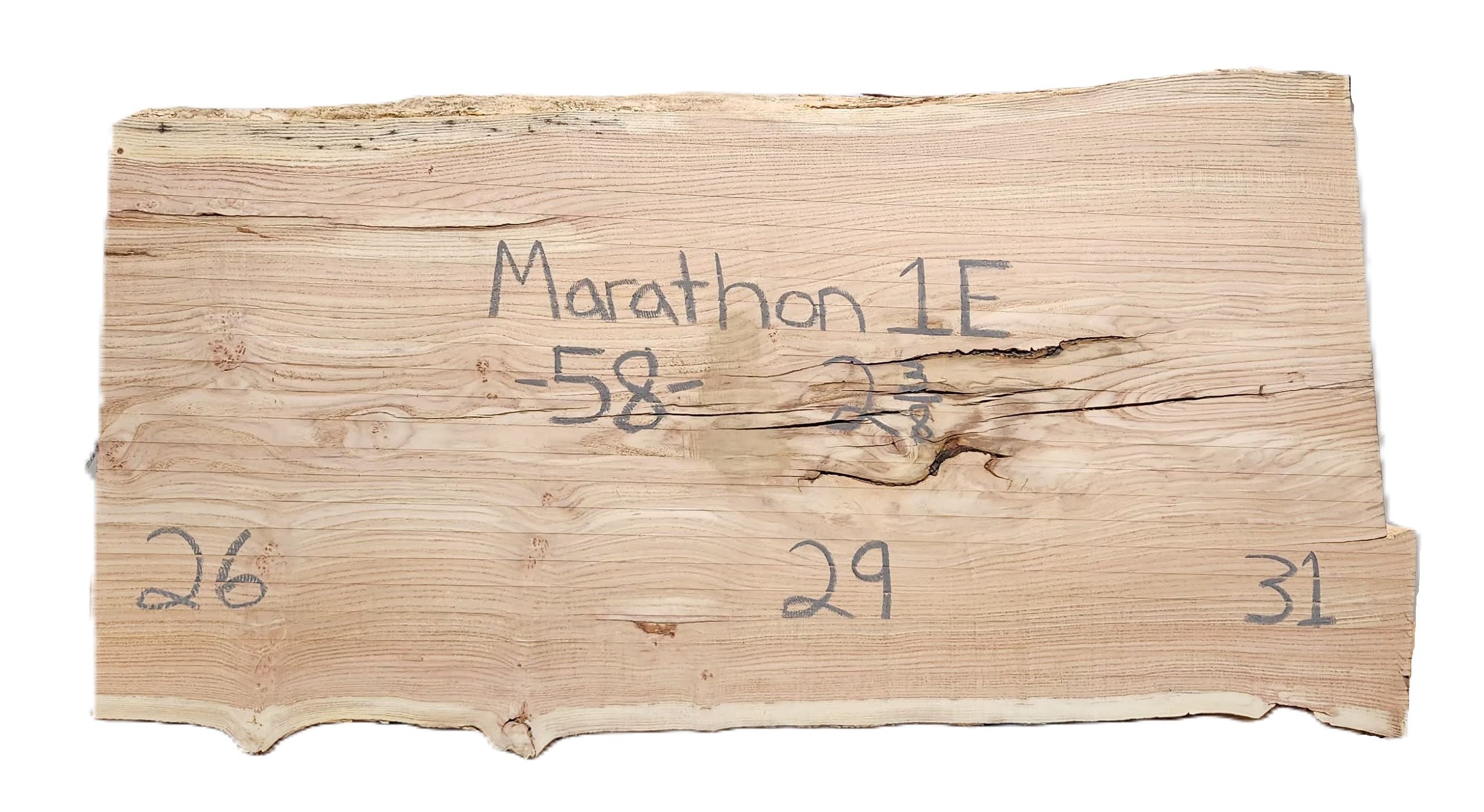Honey Locust Slab Marathon 1E