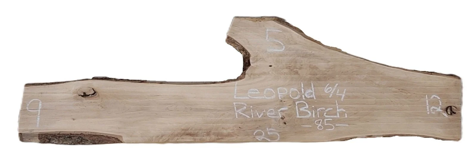 Birch Slab Leopold 5