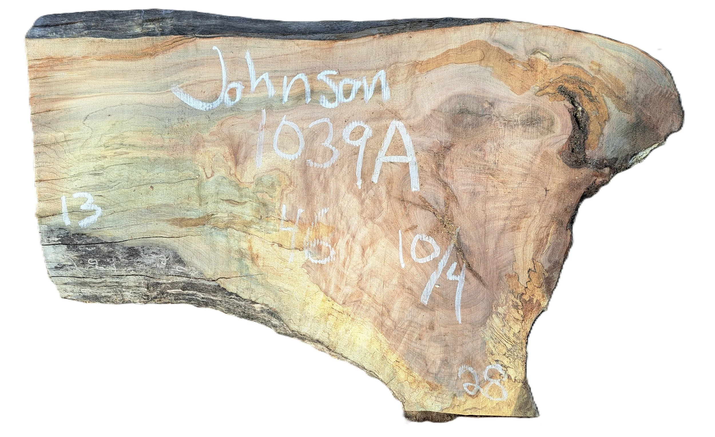 Sugar Maple Slab Johnson 1039A