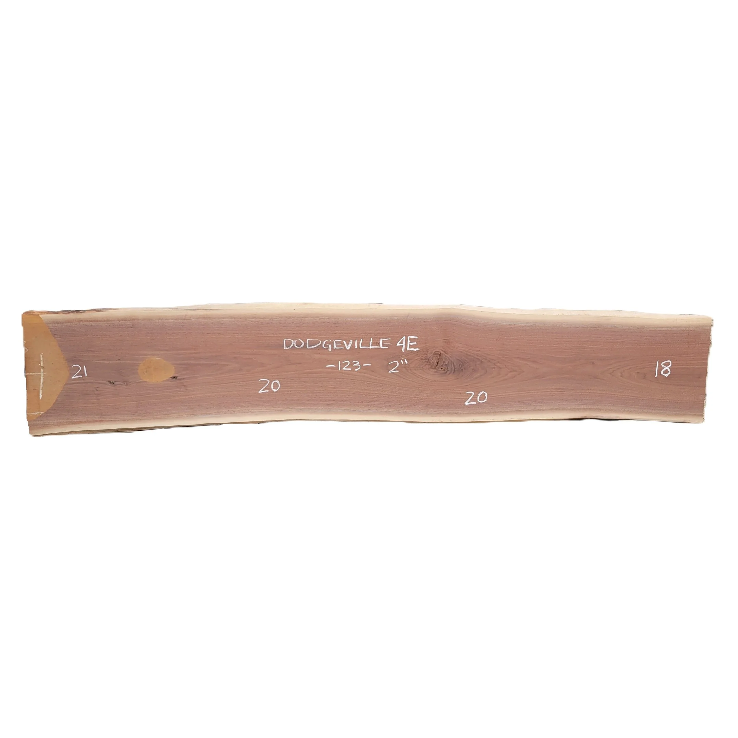 Walnut Slab Dodgeville 4E