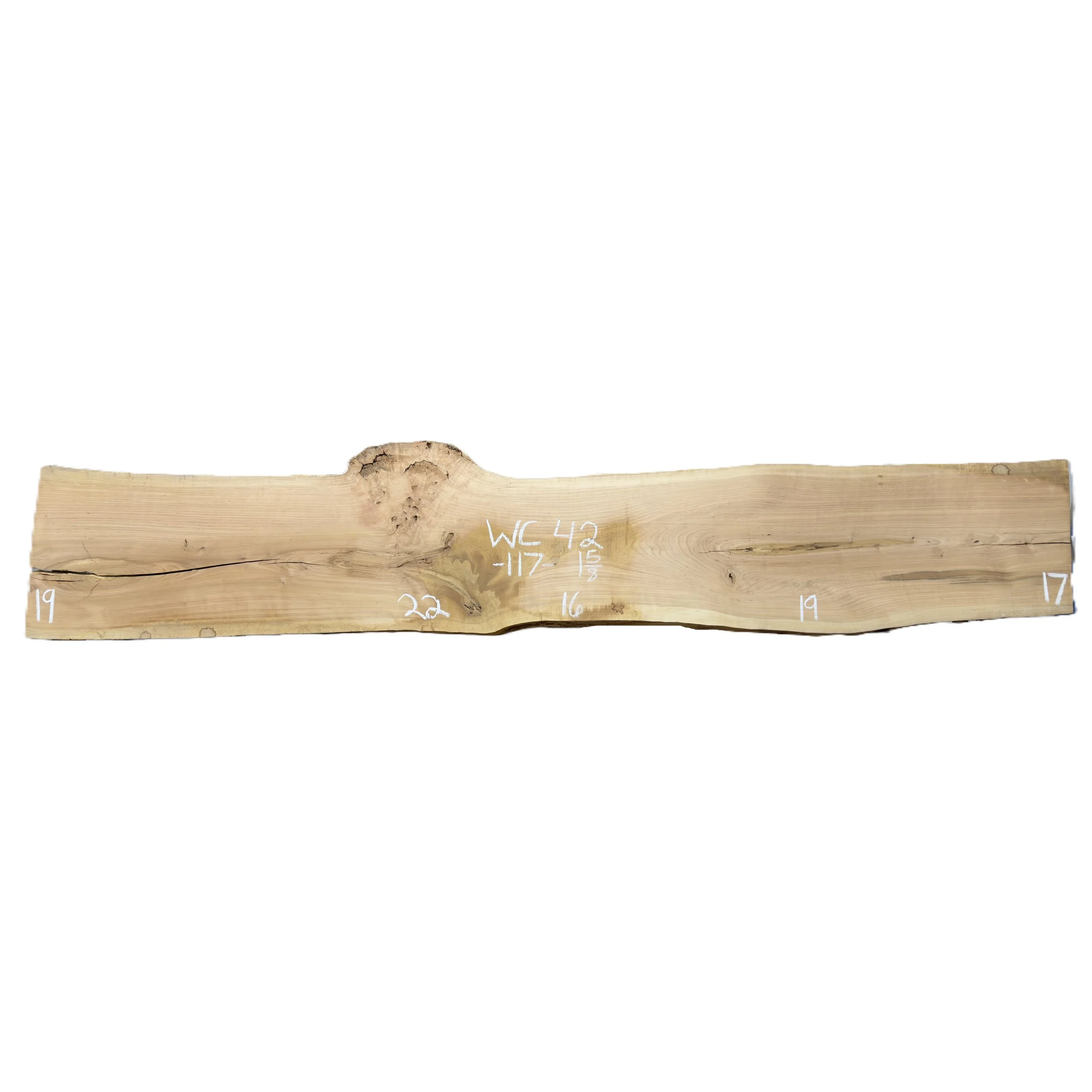 Wood_Cycle_42.jpg