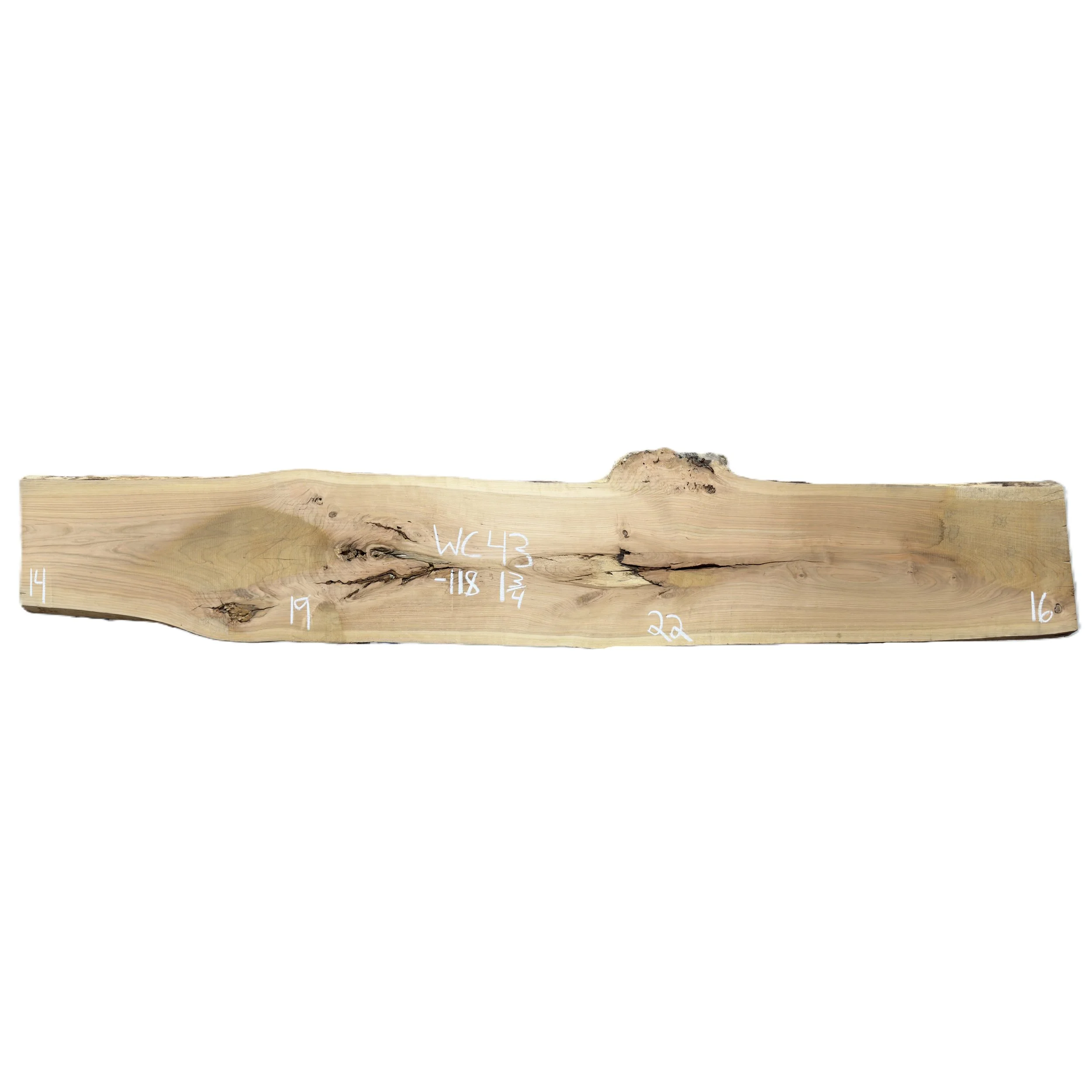 Wood_Cycle_43.jpg