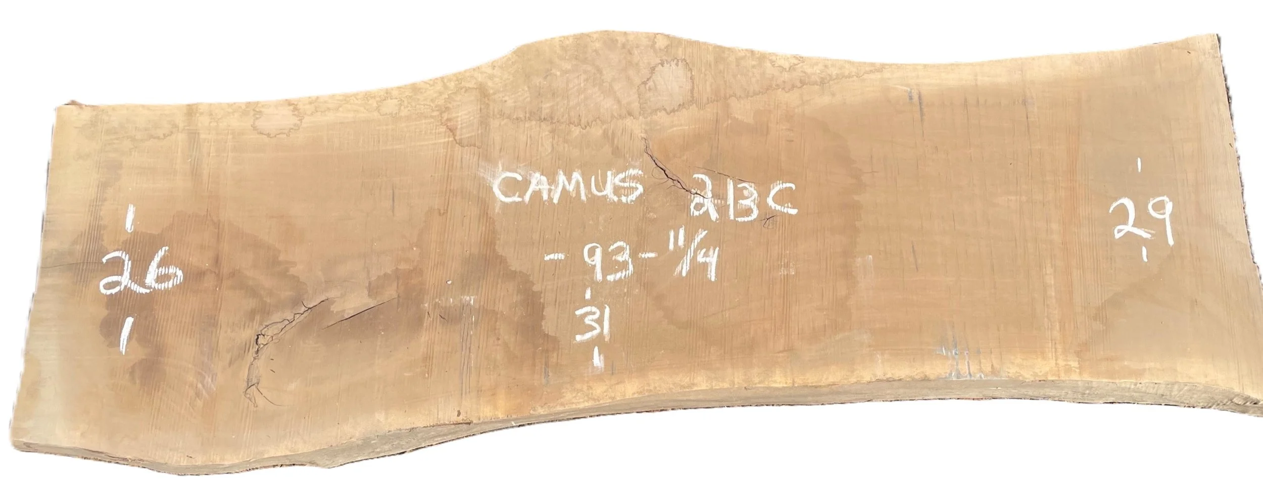 Walnut Slab Camus 213C