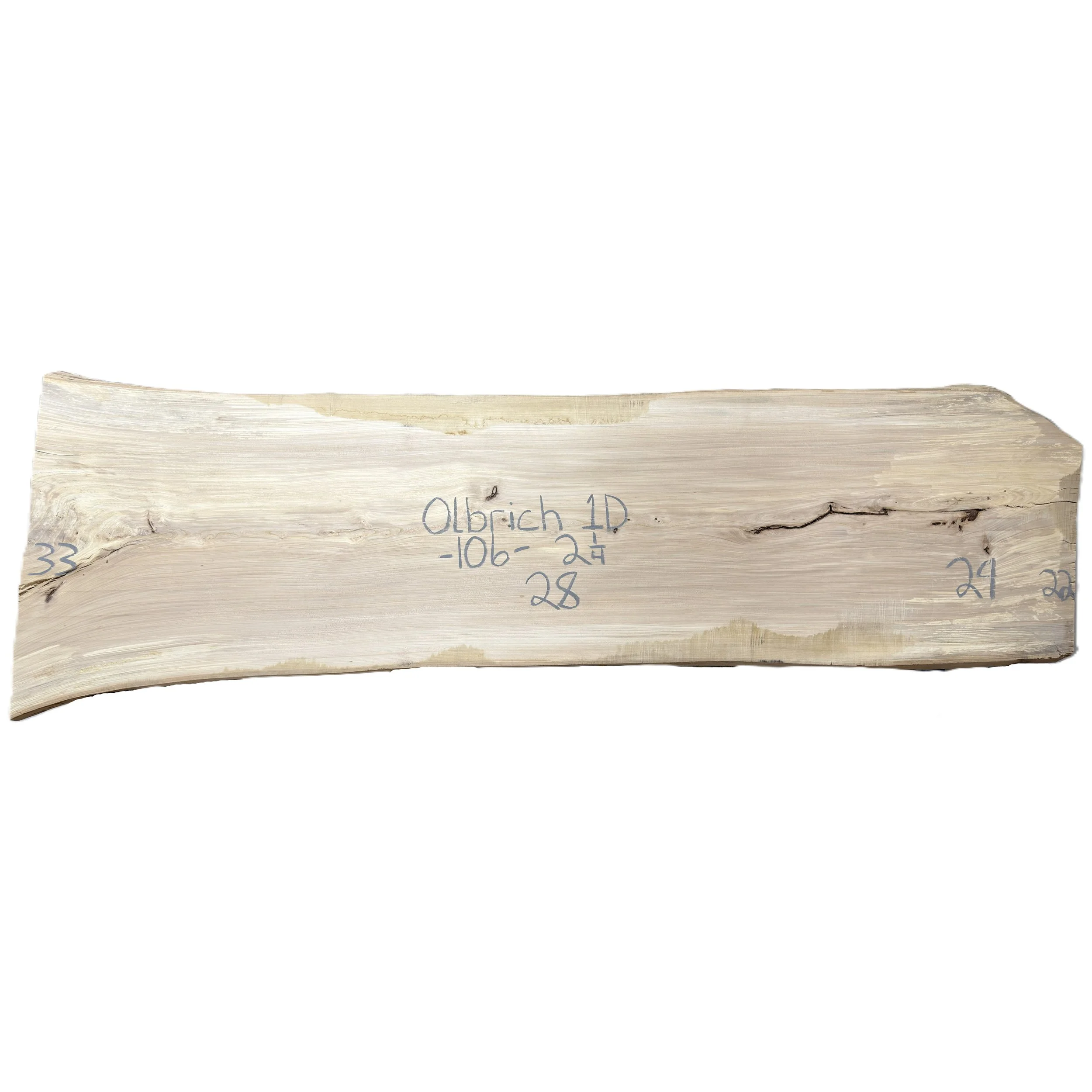 American Elm Slab Olbrich 1D
