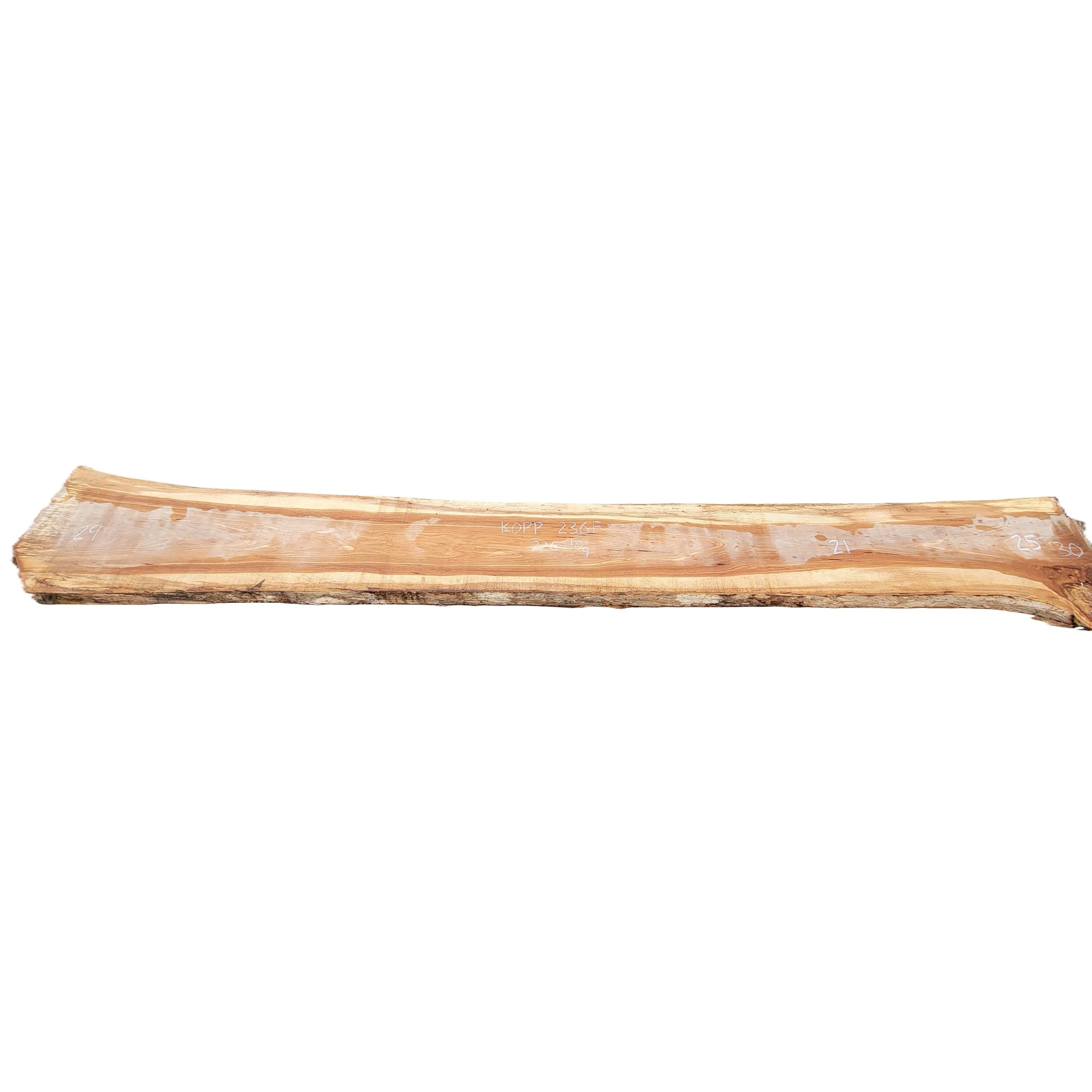 Kopp_236F.jpg