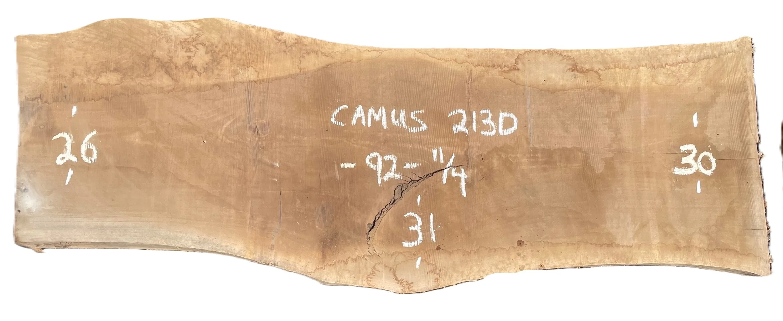 Walnut Slab Camus 213D