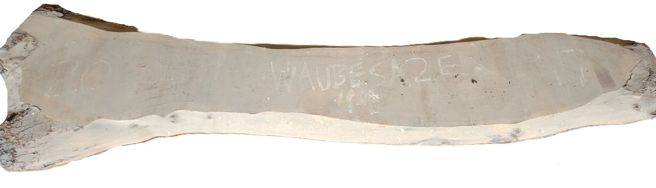 Walnut Slab Waubesa 2E