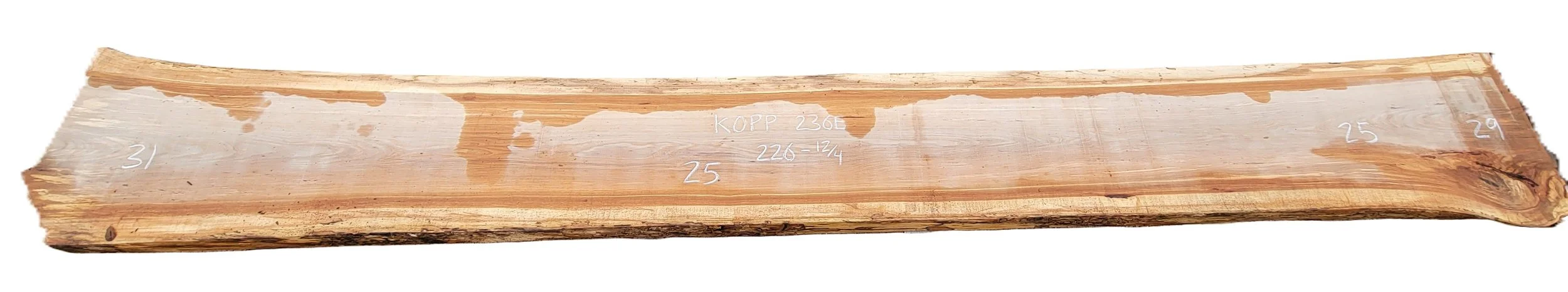 Hickory Slab Kopp 236E