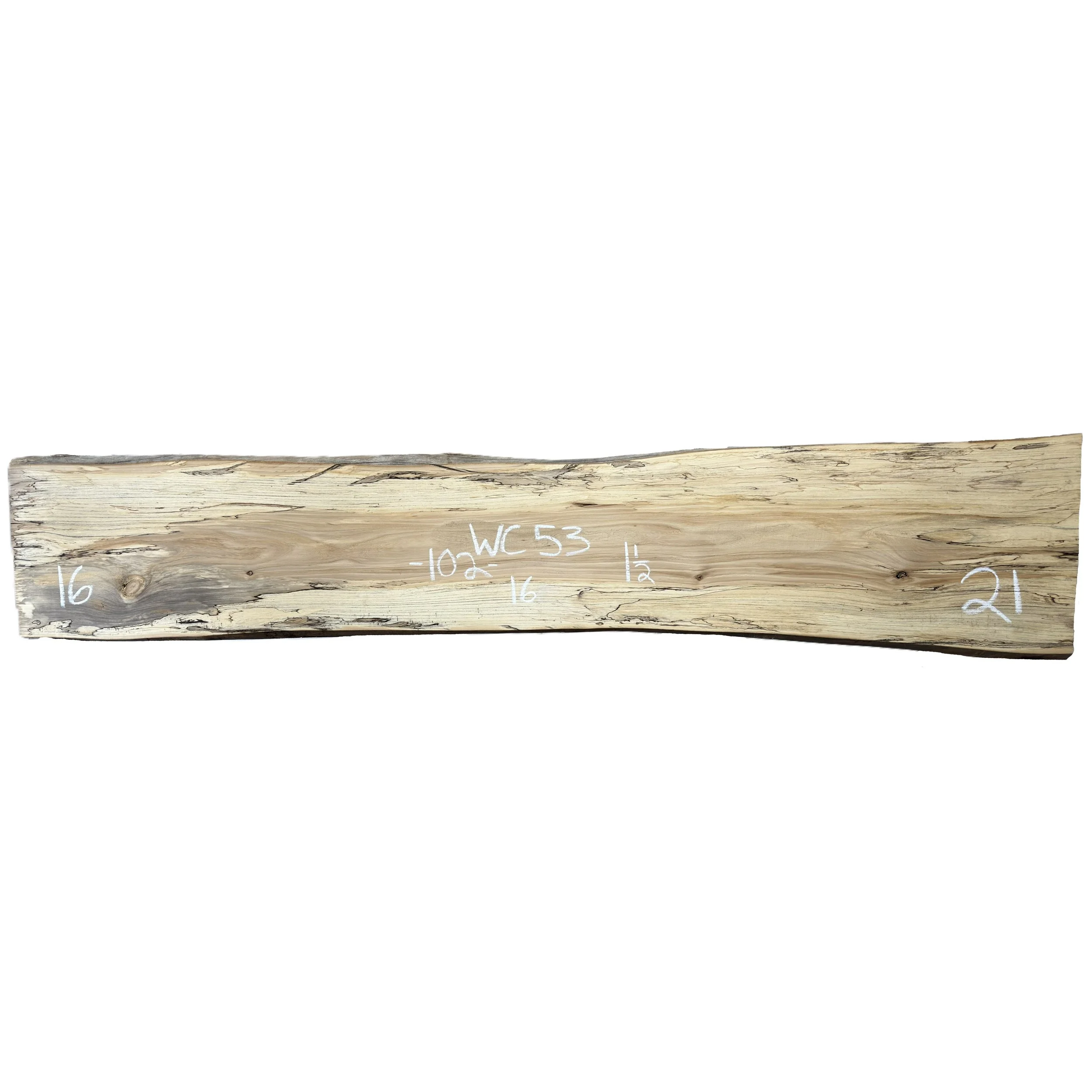 Wood_Cycle_53.jpg