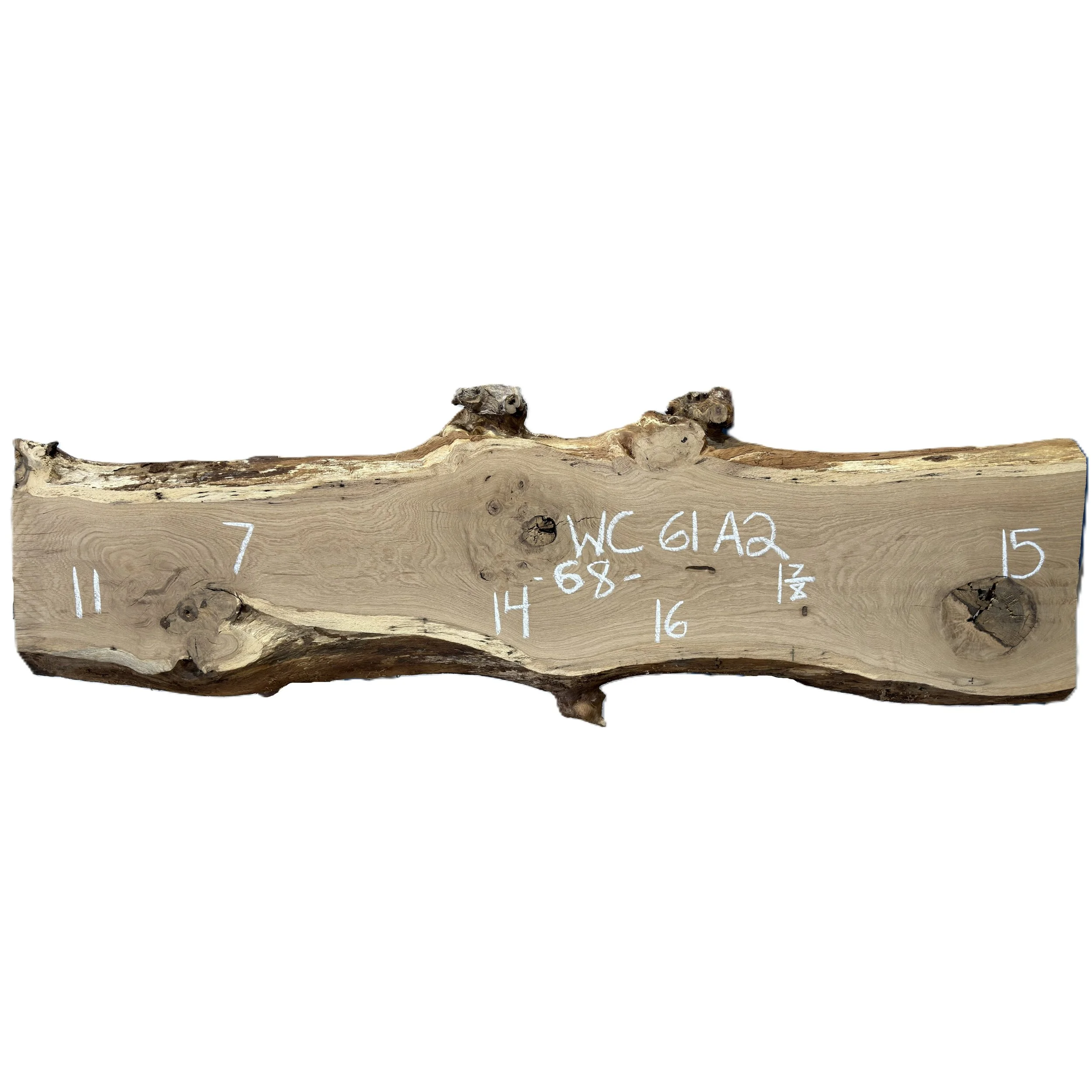 White Oak Slab Wood Cycle 61A2