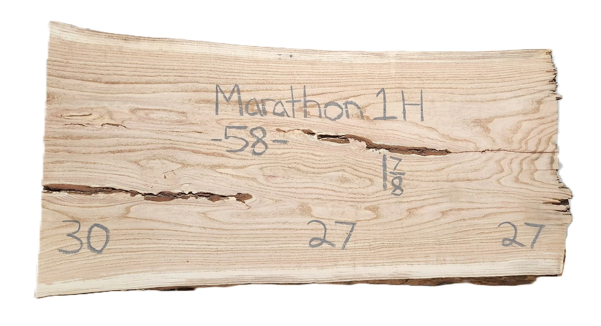 Honey Locust Slab Marathon 1H