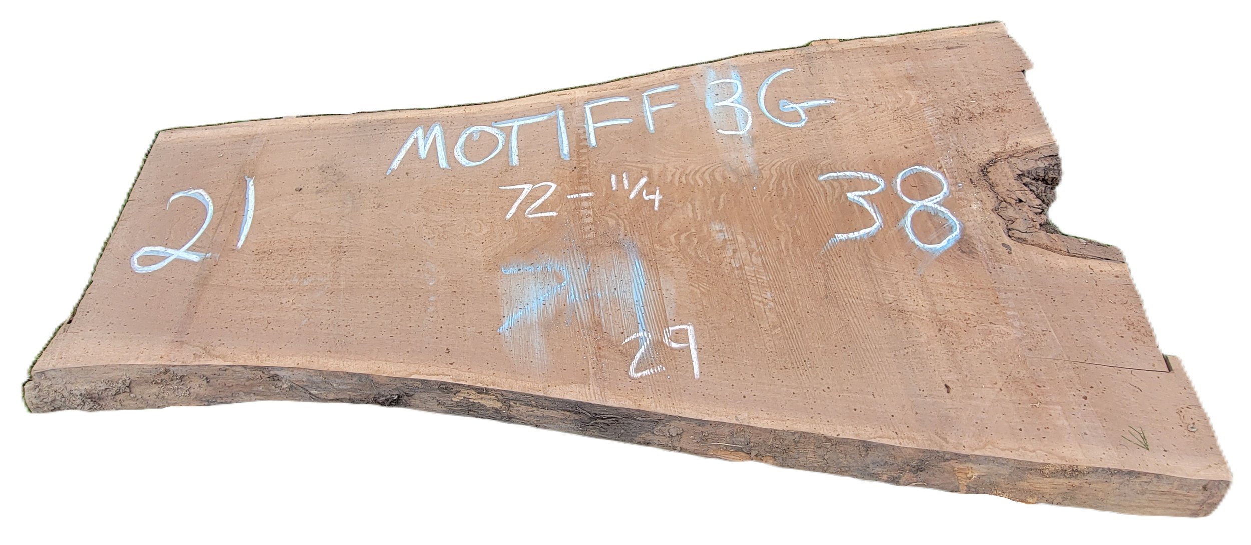 Walnut Slab Motiff 3G