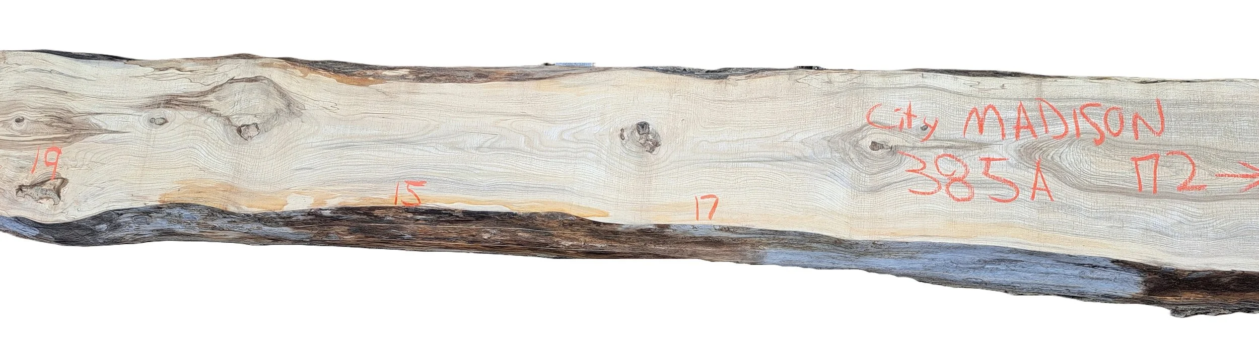 Hackberry Slab City Madison 385A