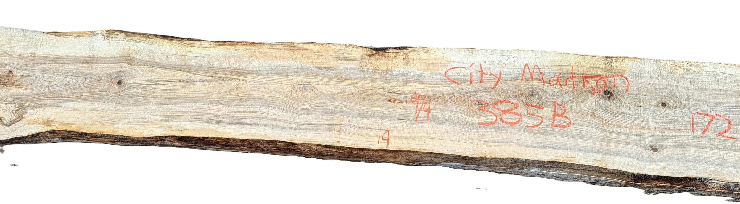 Hackberry Slab City Madison 385B