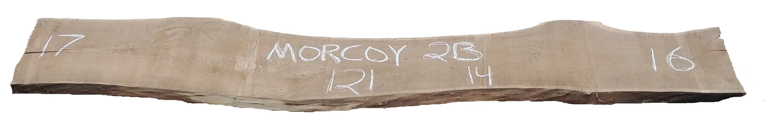 Walnut Slab Morcoy 2B