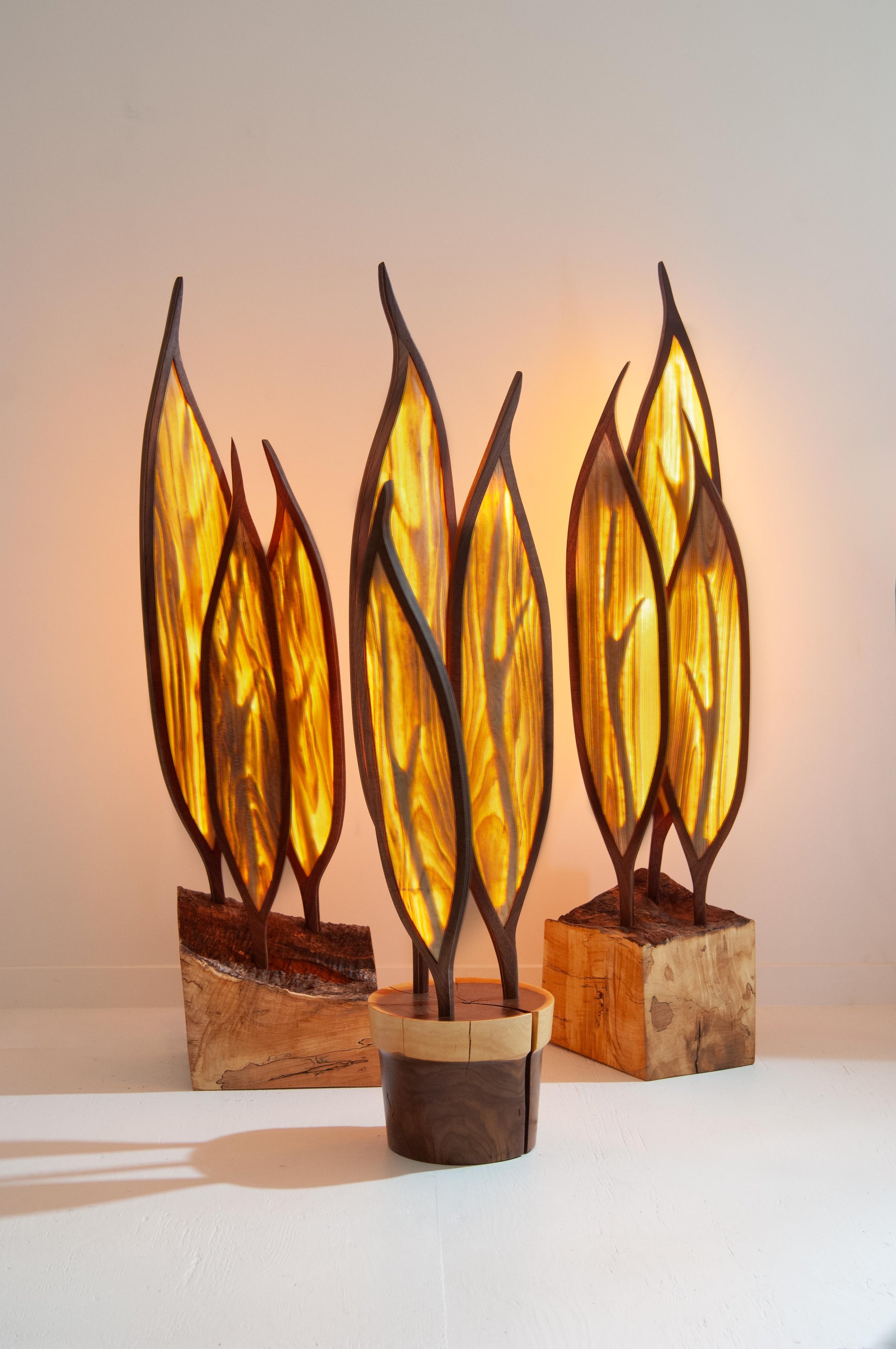 Lighiting_hac_004_1.jpg