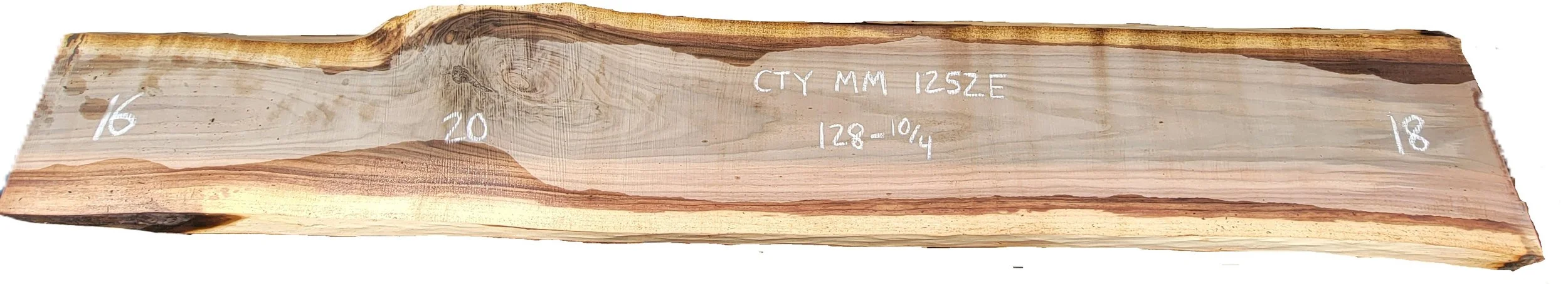 Walnut Slab County MM 1252E