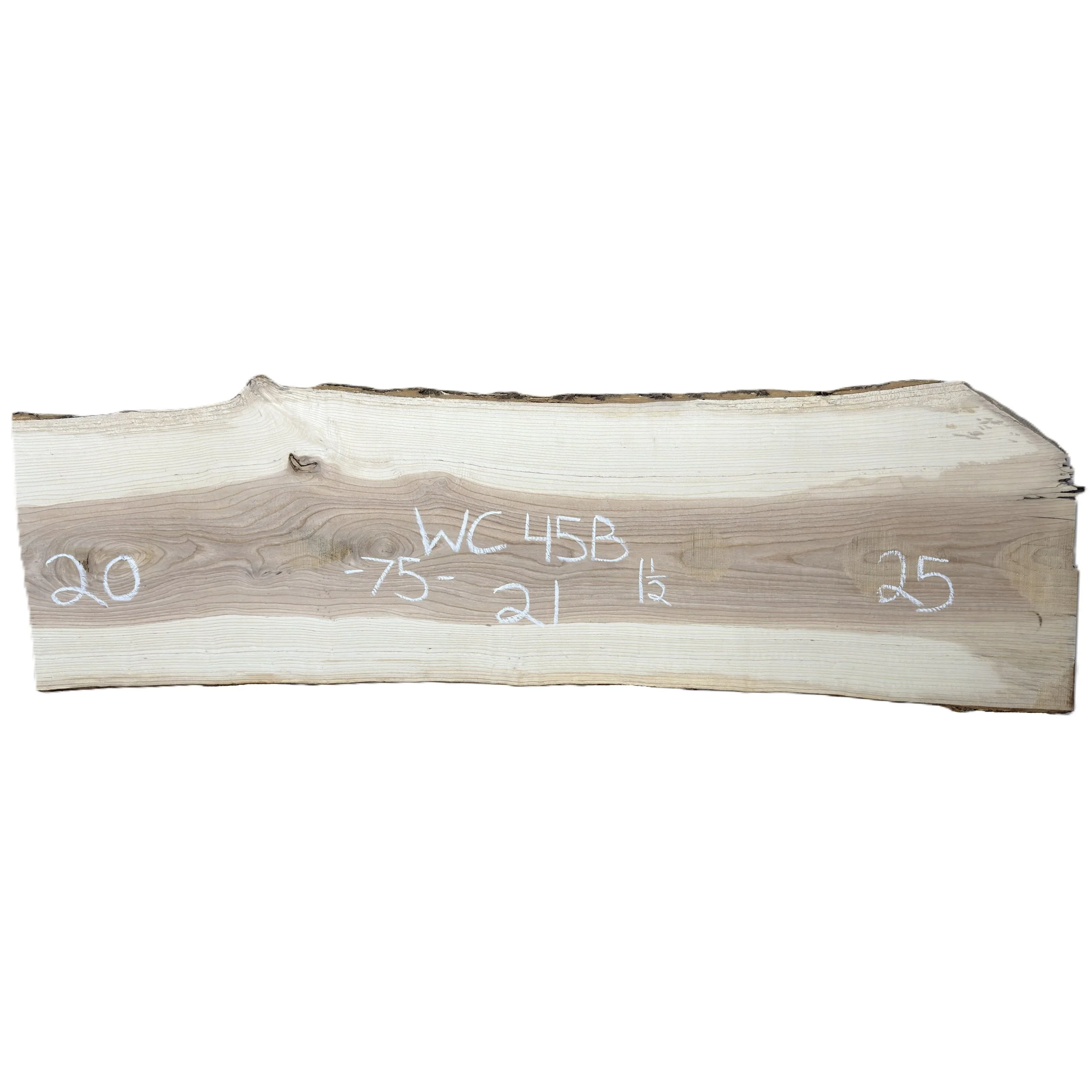 Wood_Cycle_45B.jpg