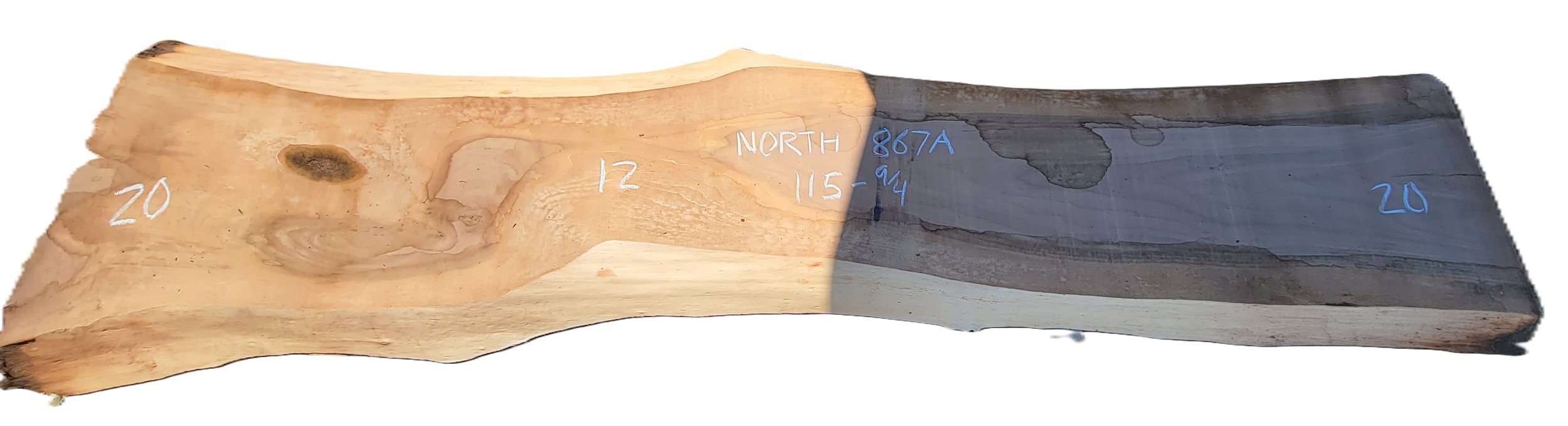 Walnut Slab North 867A