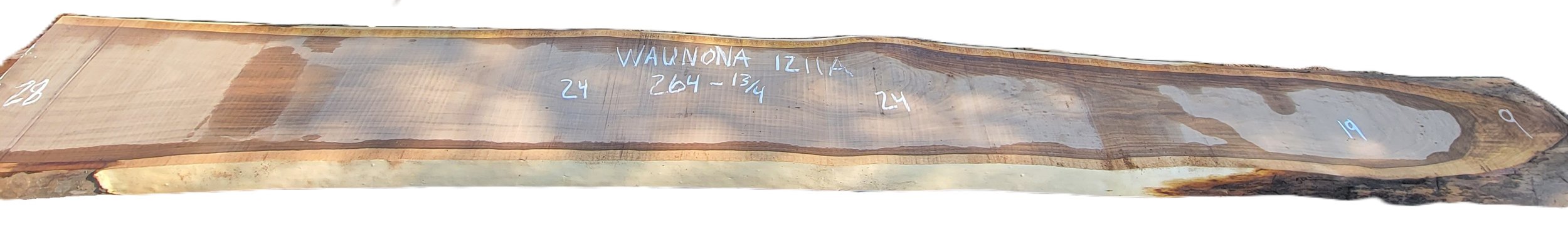 Walnut Slab Waunona 1211A