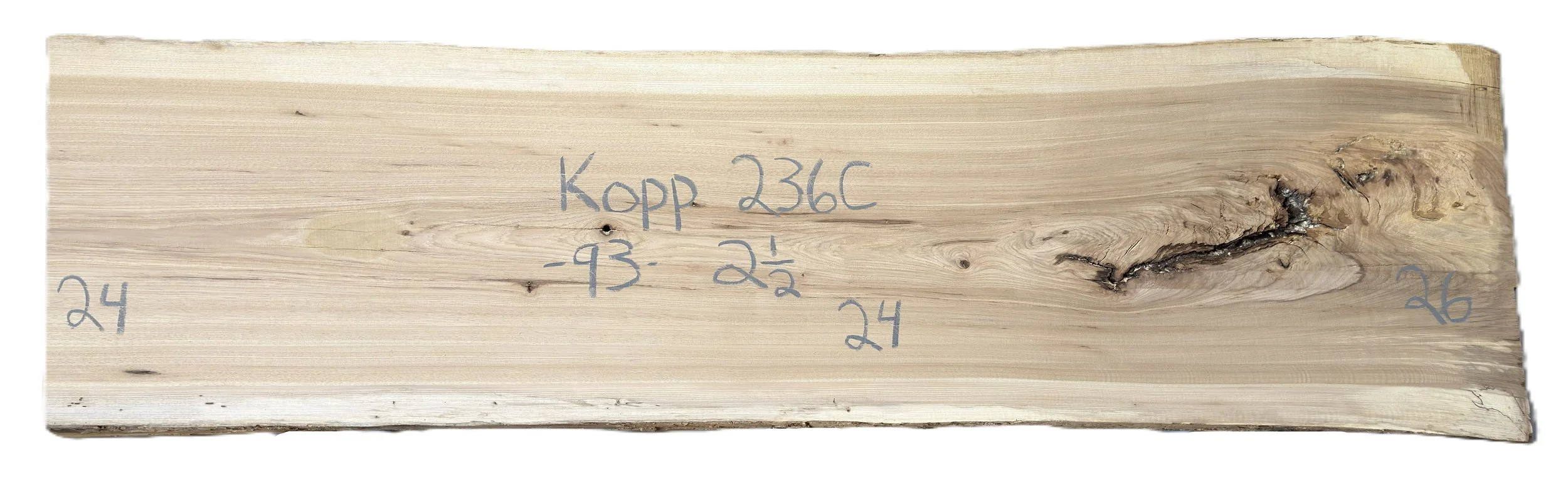 Kopp_236C.jpg
