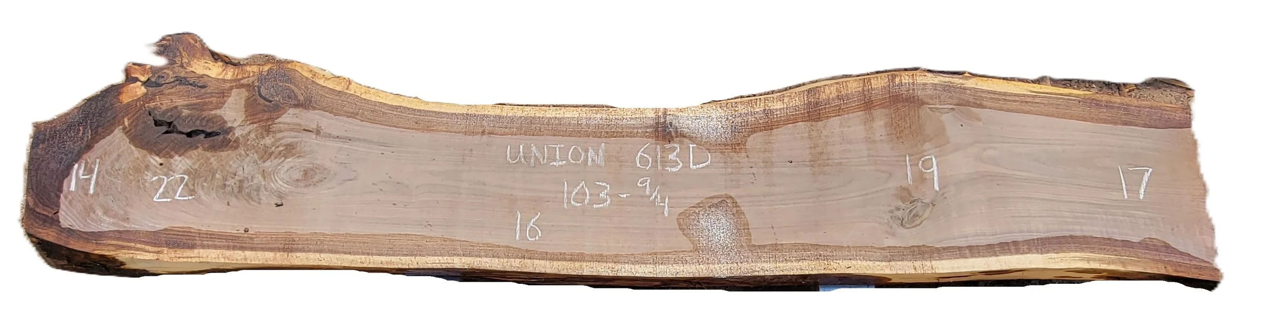 Walnut Slab Union 613D