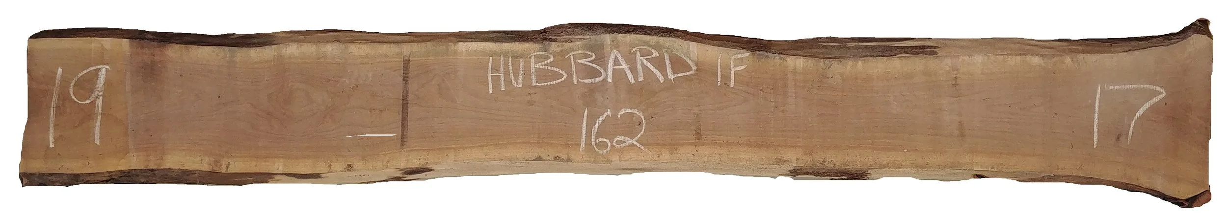 Walnut Slab Hubbard 1F