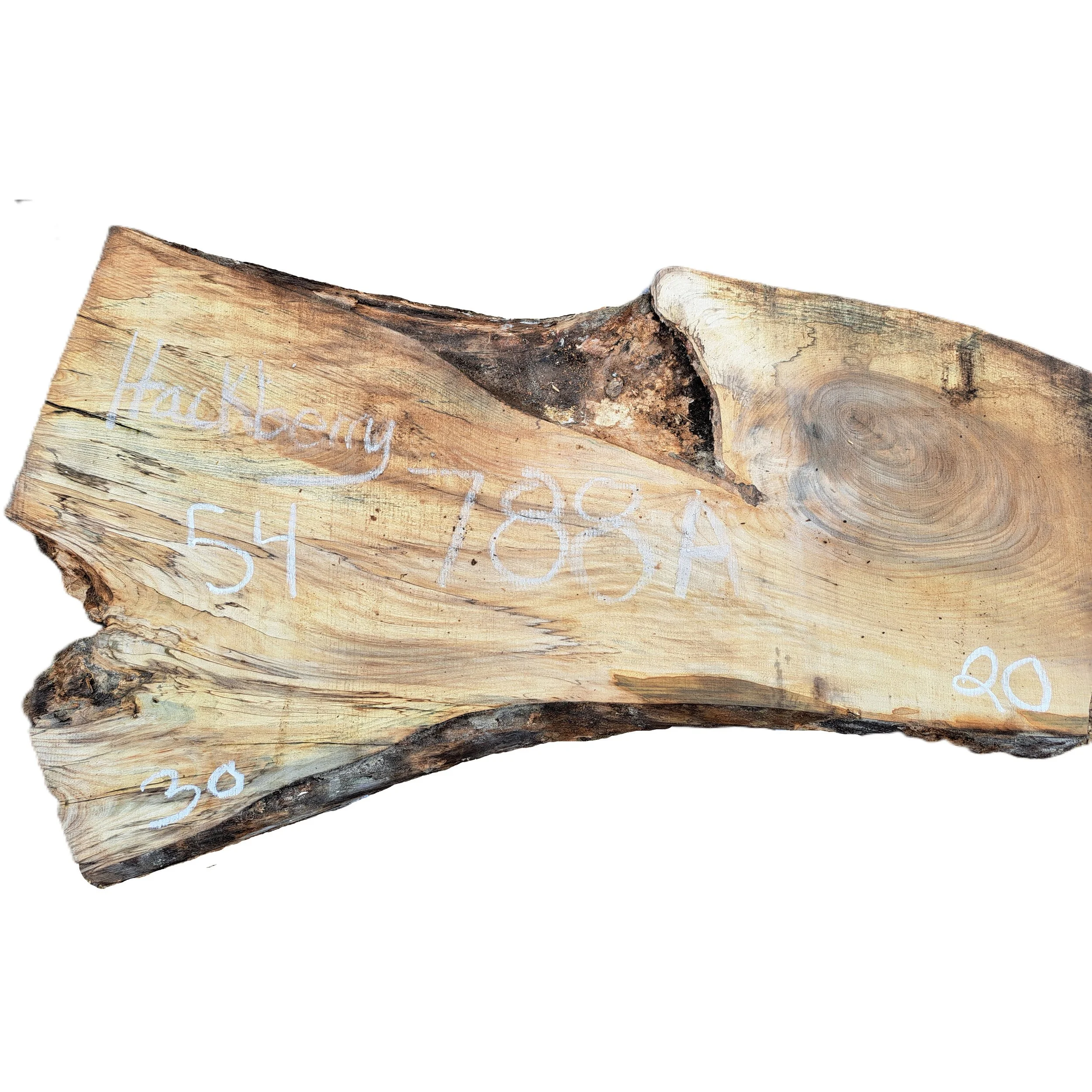 Hackberry_788A.jpg