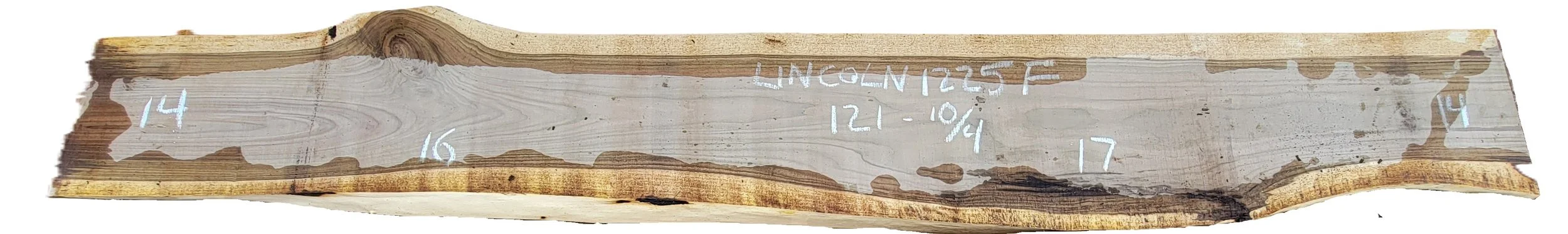 Walnut Slab Lincoln 1225F