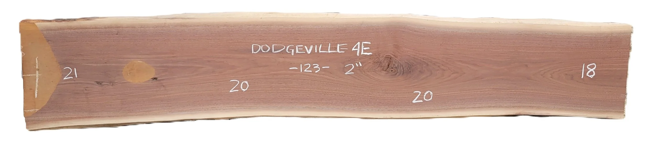 Walnut Slab Dodgeville 4E