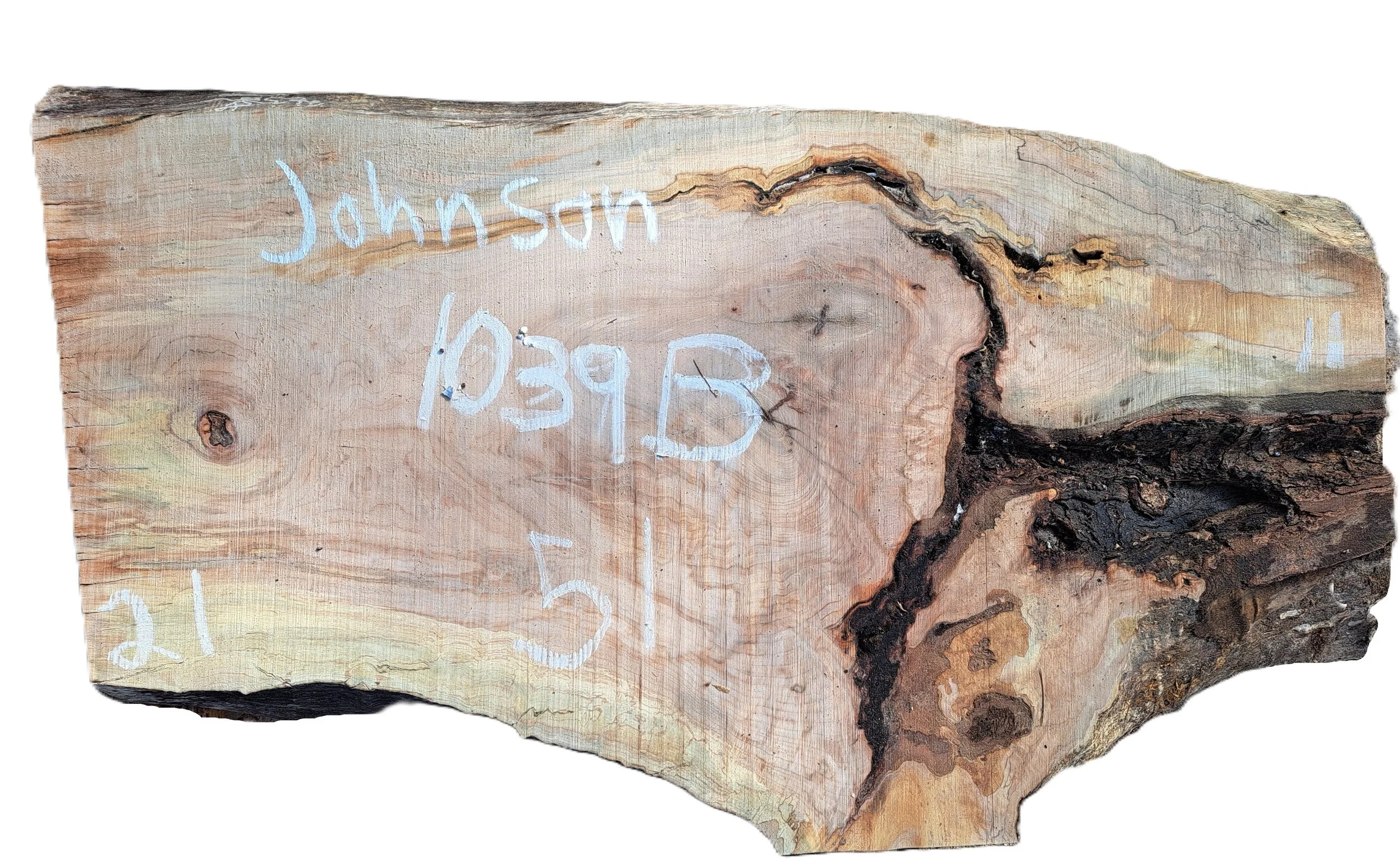 Sugar Maple Slab Johnson 1039B