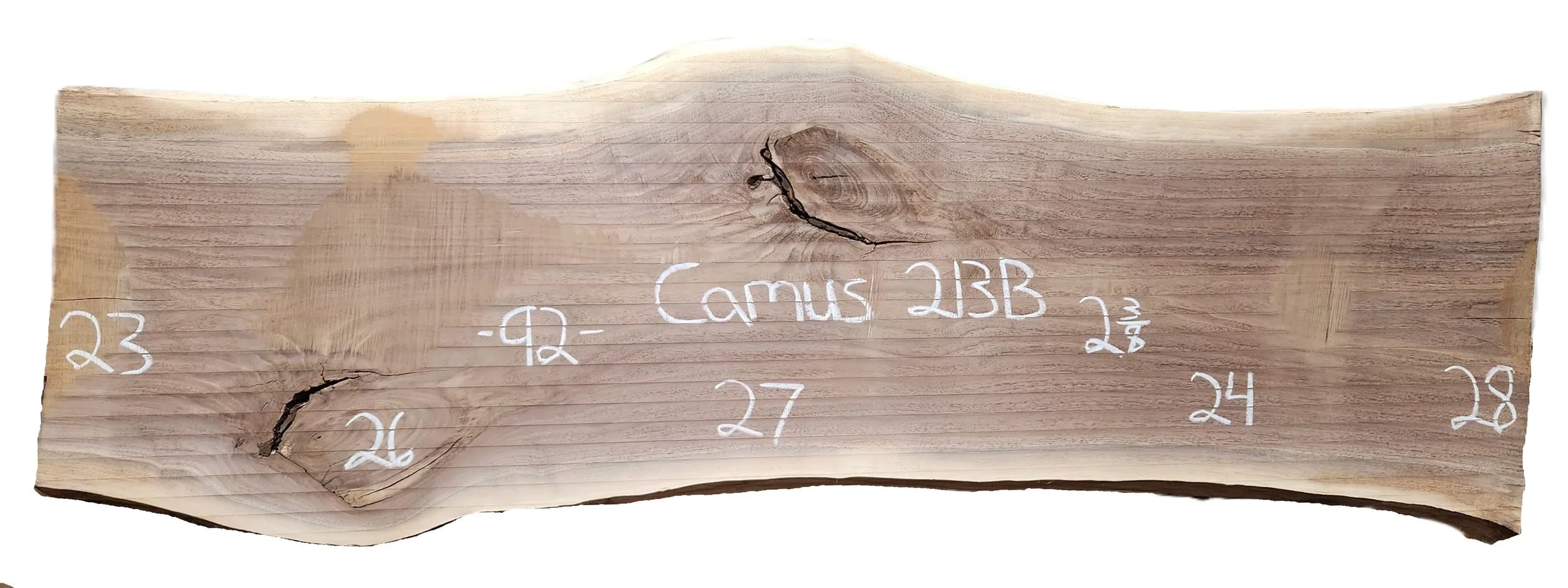 Walnut Slab Camus 213B