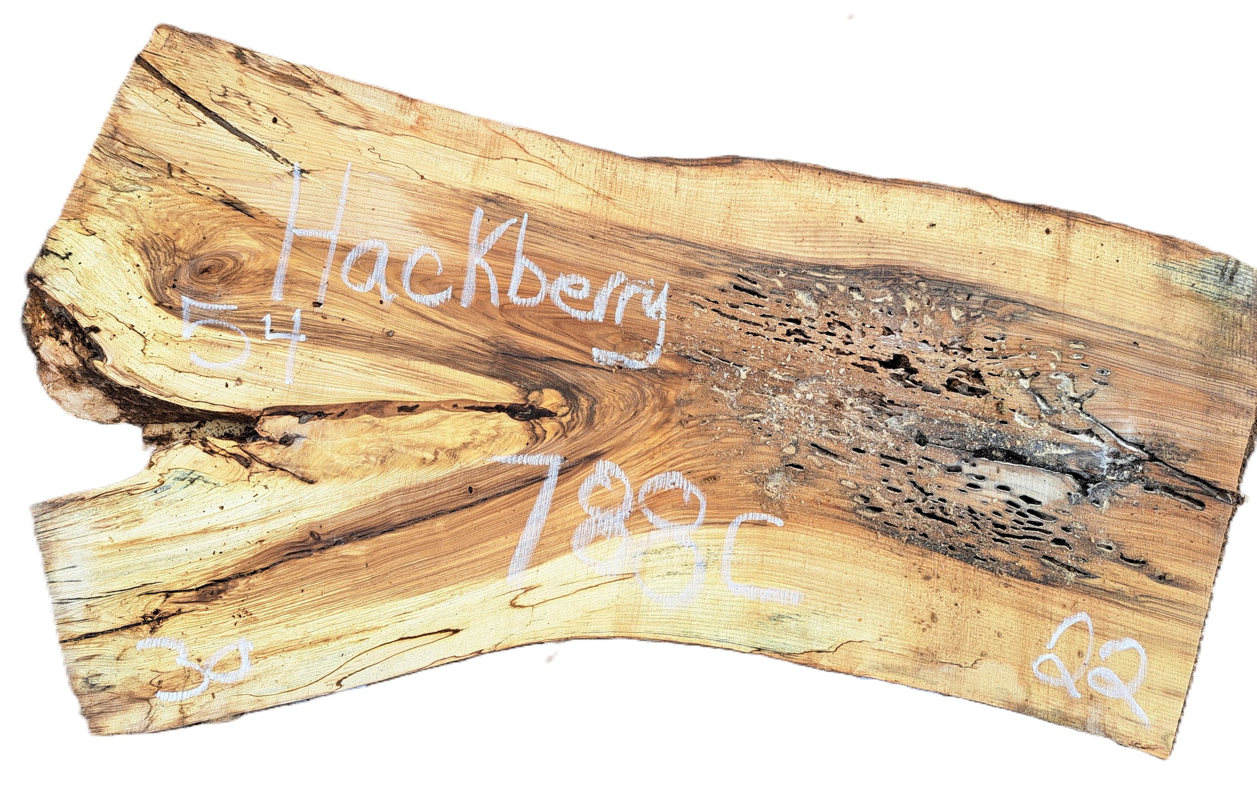 Hackberry Slab Hackberry 788C