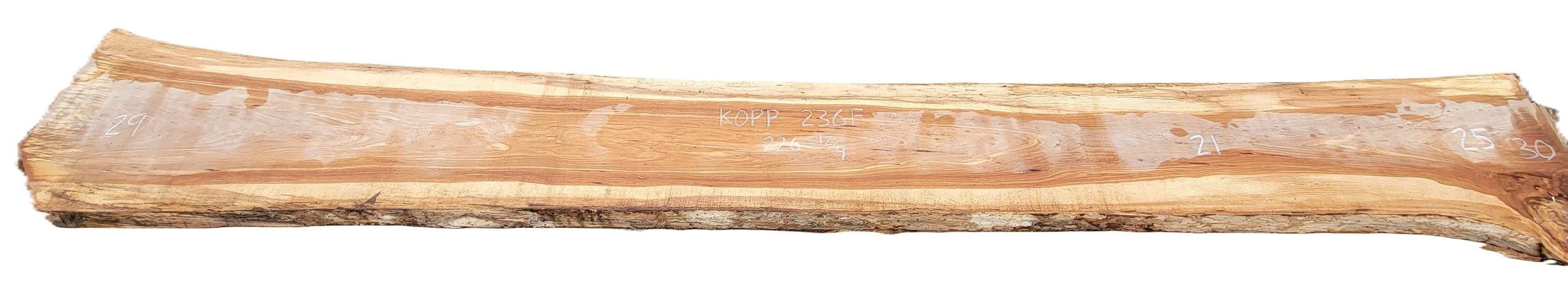 Hickory Slab Kopp 236F