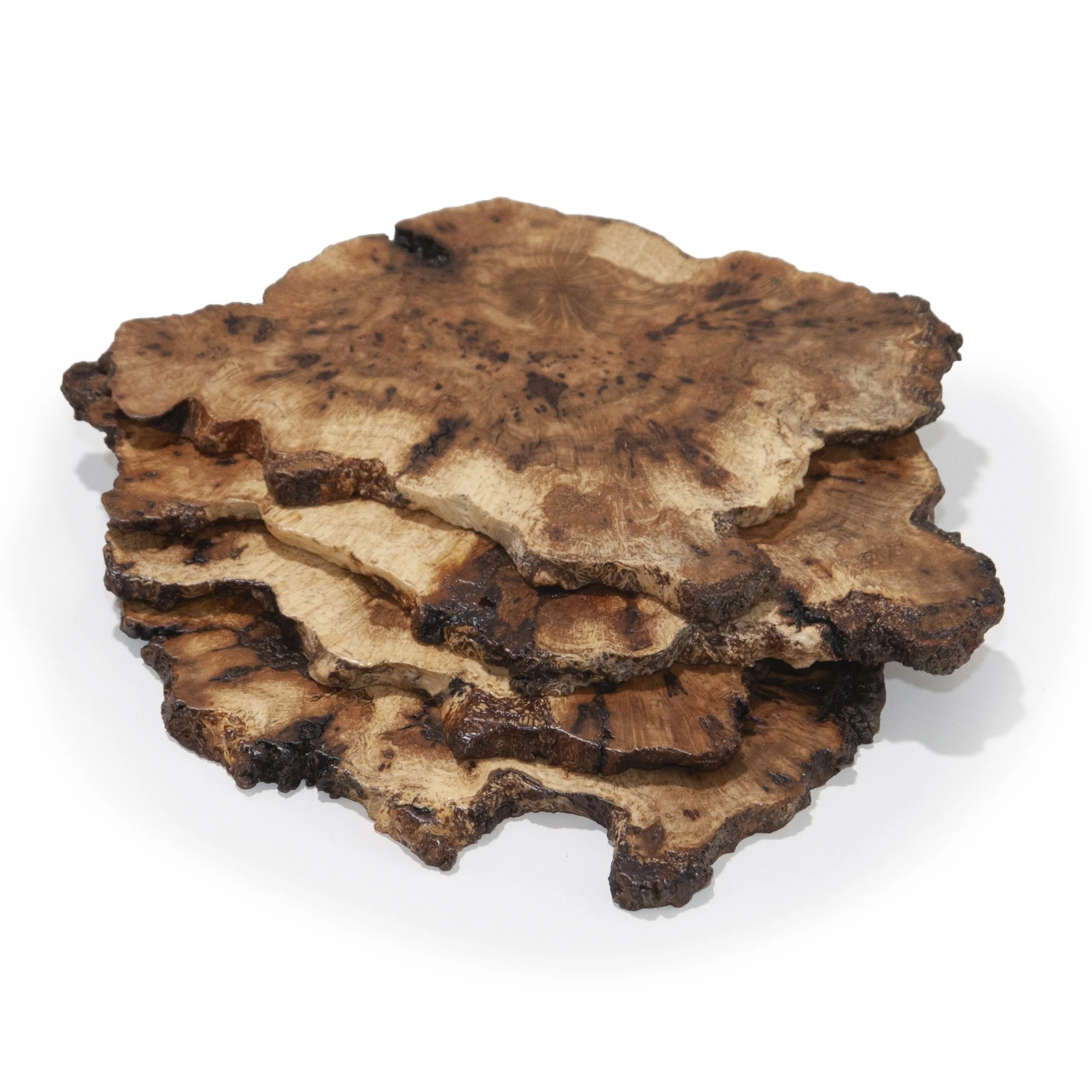 Oak Burl Coaster Set