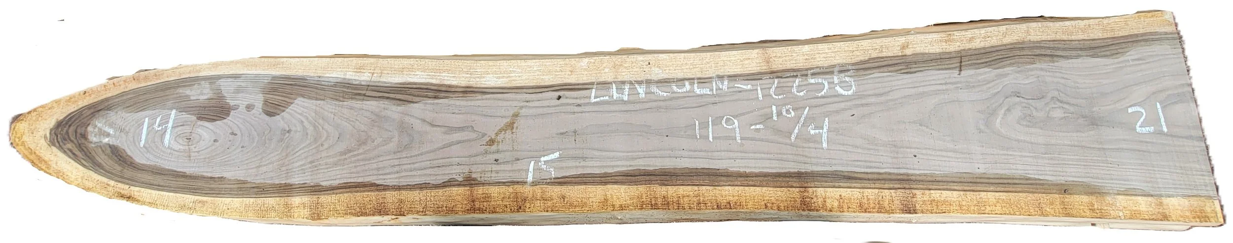 Walnut Slab Lincoln 1225B