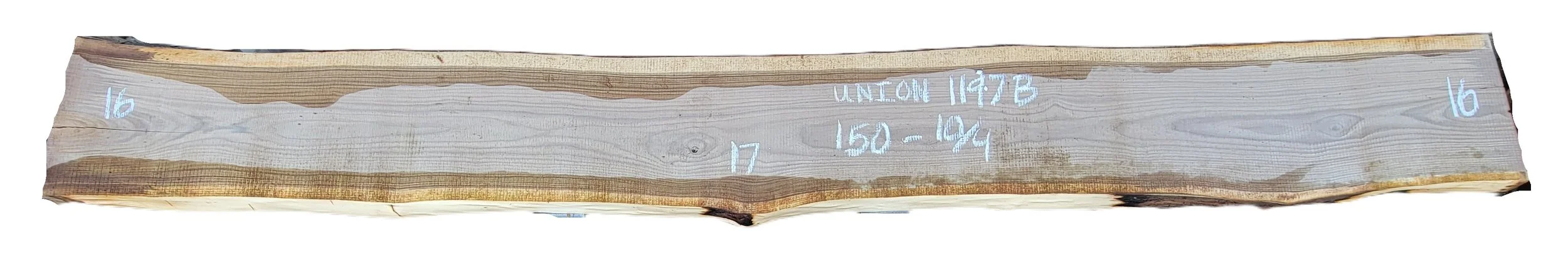 Walnut Slab Union 1197B