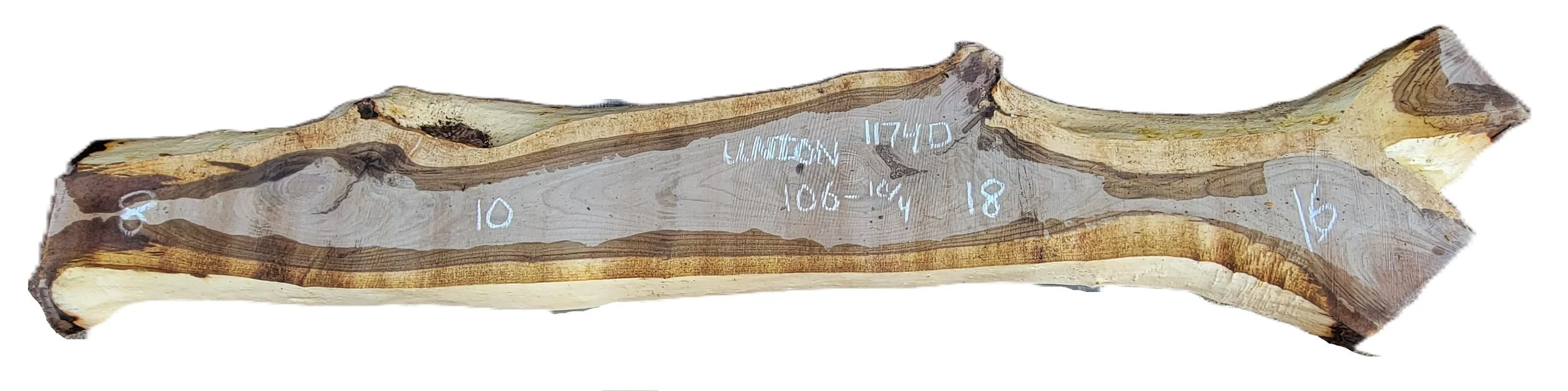 Walnut Slab Union 1174D