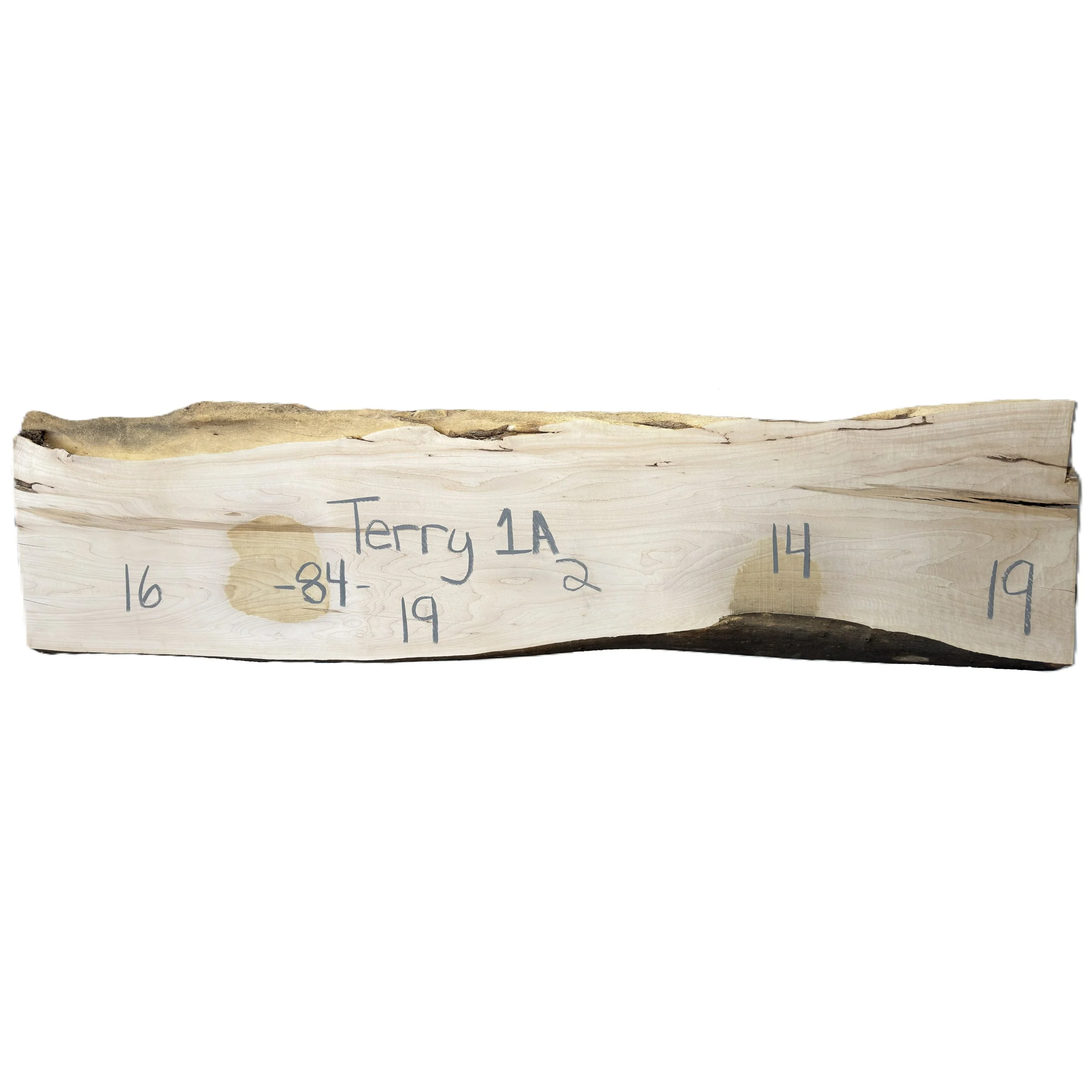 Terry_1A.jpg