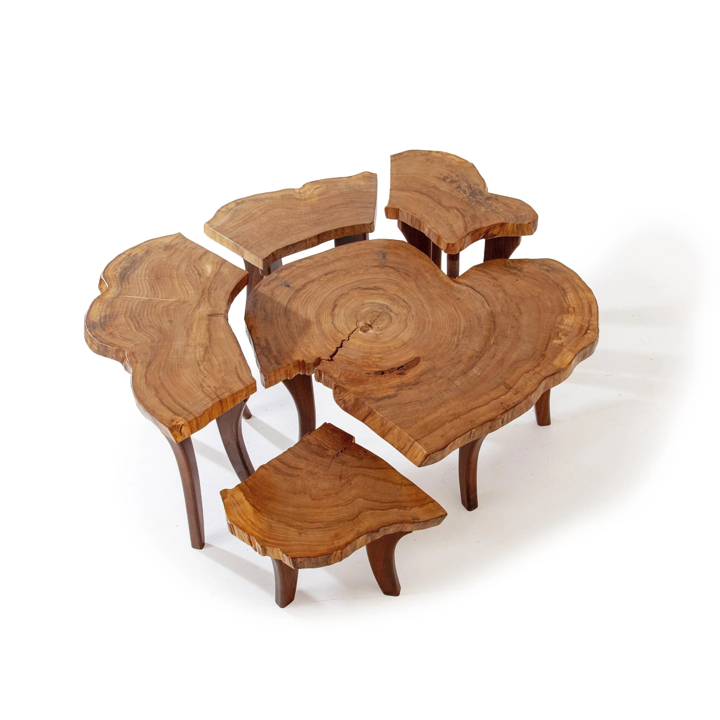 Elm Nest