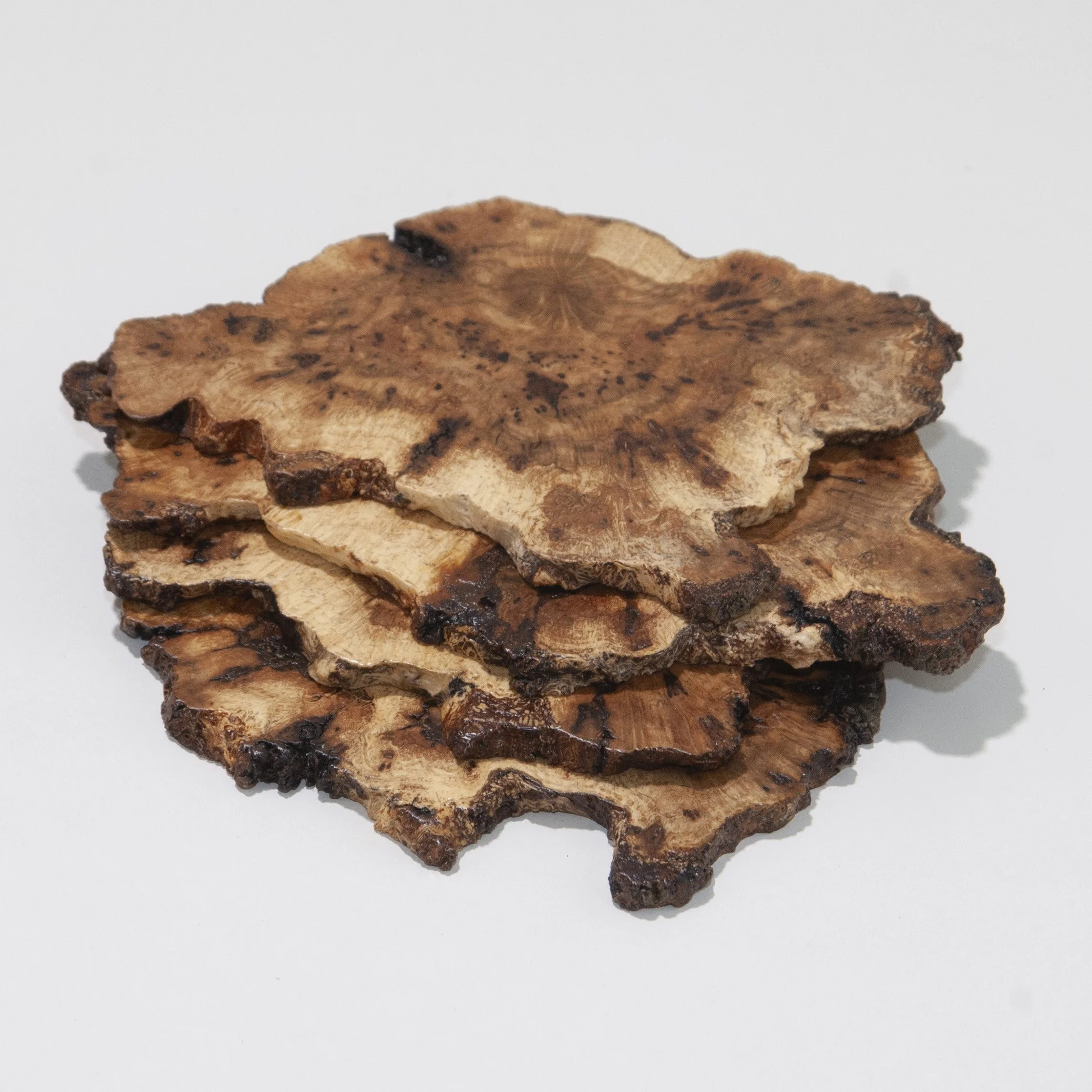 Oak Burl Coaster Set