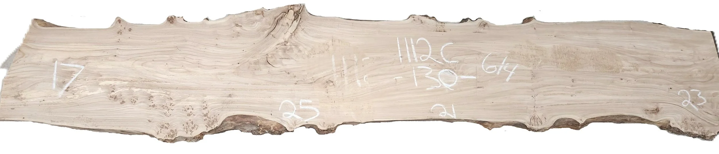 Siberian Elm Slab Siberian Elm 1112C