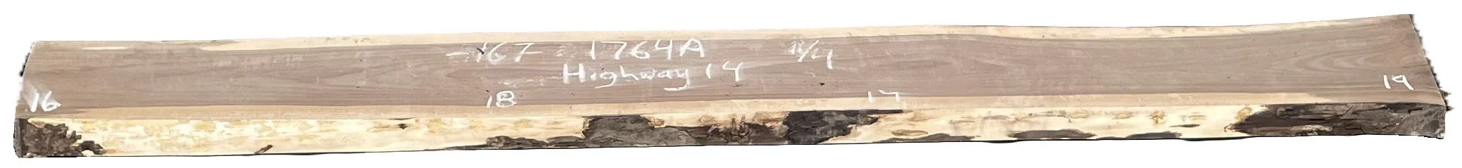 Walnut Slab Highway 14 1764A