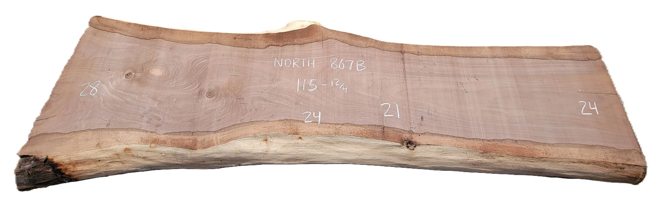Walnut Slab North 867B