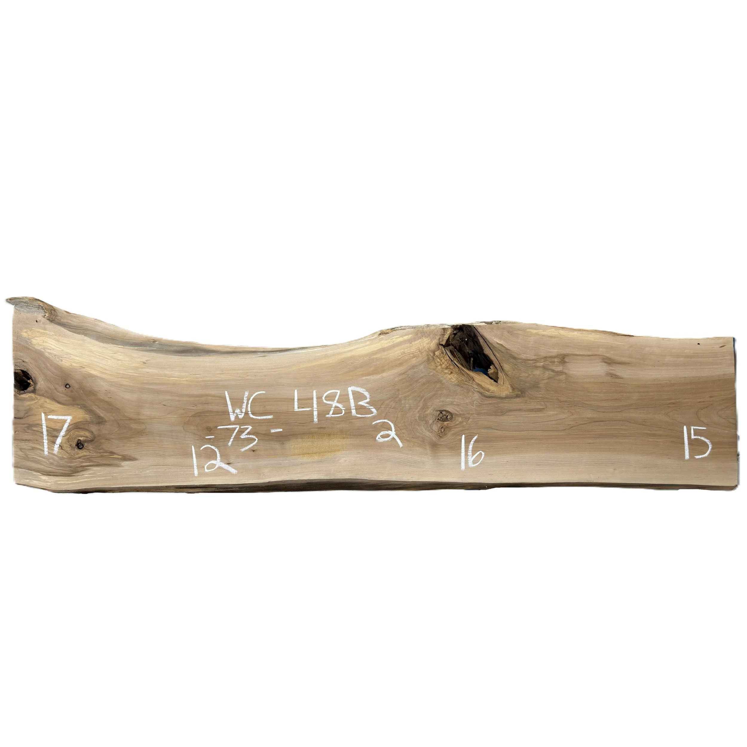 Wood_Cycle_48B.jpg
