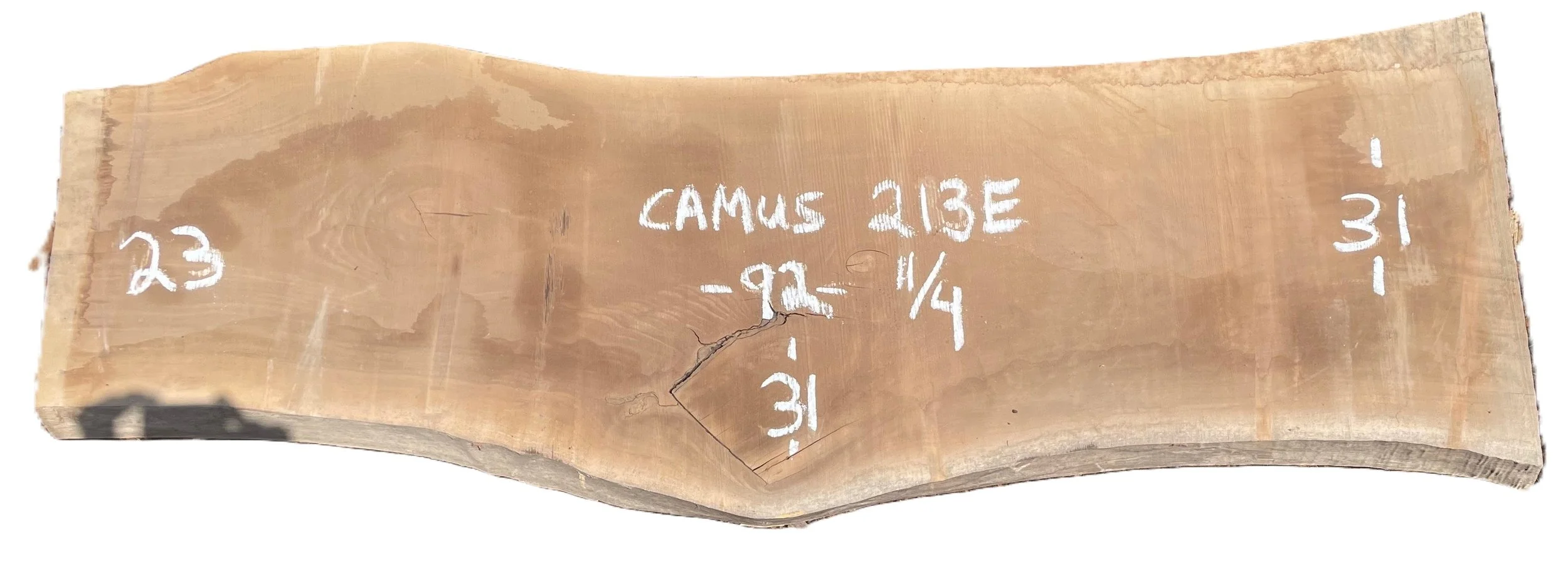 Walnut Slab Camus 213E